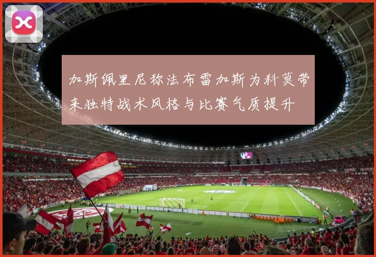 加斯佩里尼称法布雷加斯为科莫带来独特战术风格与比赛气质提升