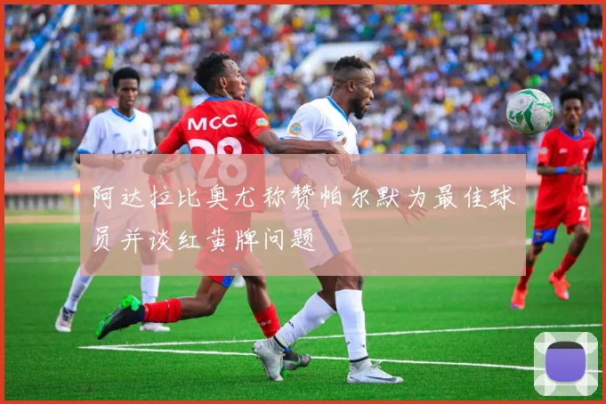 阿达拉比奥尤称赞帕尔默为最佳球员并谈红黄牌问题