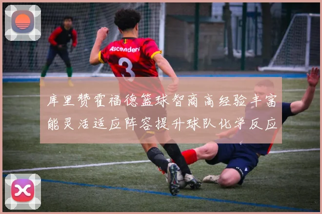 库里赞霍福德篮球智商高经验丰富能灵活适应阵容提升球队化学反应
