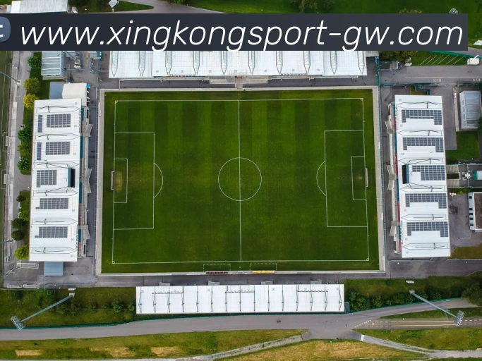 App Interface Preview