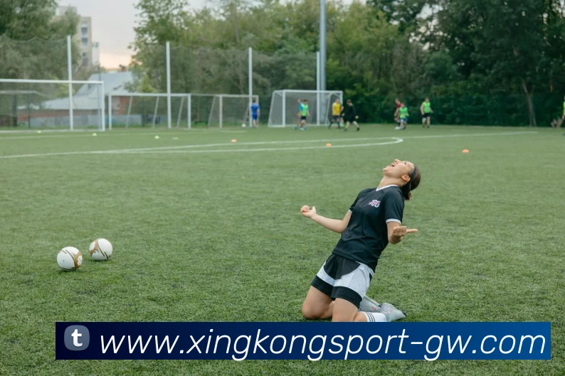 星空体育APP 封面图