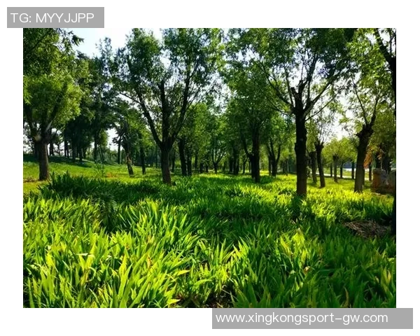 科内特称赞文班职业态度与专注力期待其未来更大突破与成长 科内特称赞文班职业态度与专注力期待其未来更大突破与成长